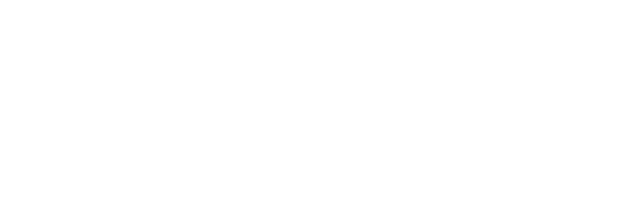 The Best Agent in America Logo